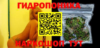 тгк Железногорск