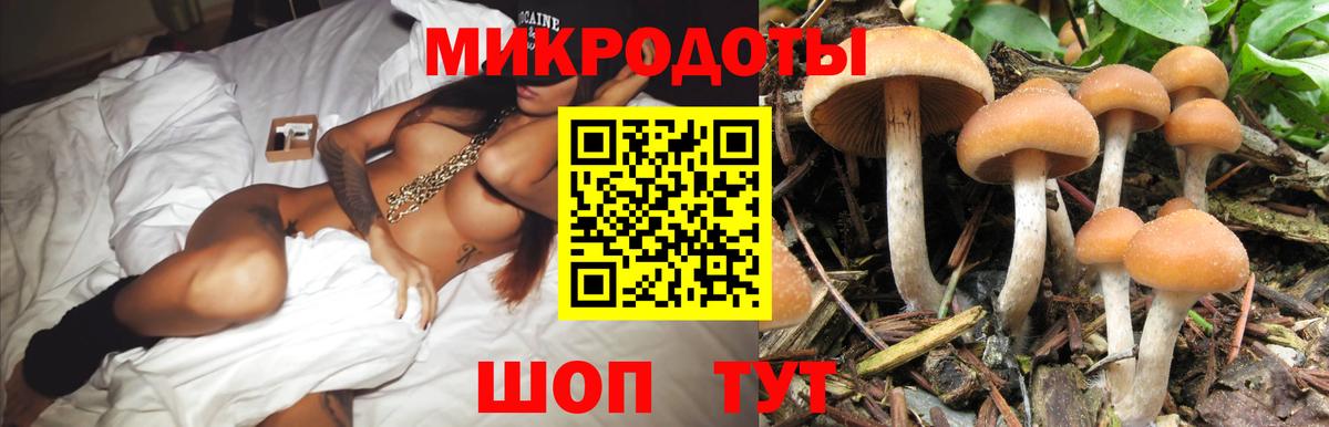 Псилоцибиновые грибы мицелий Орёл