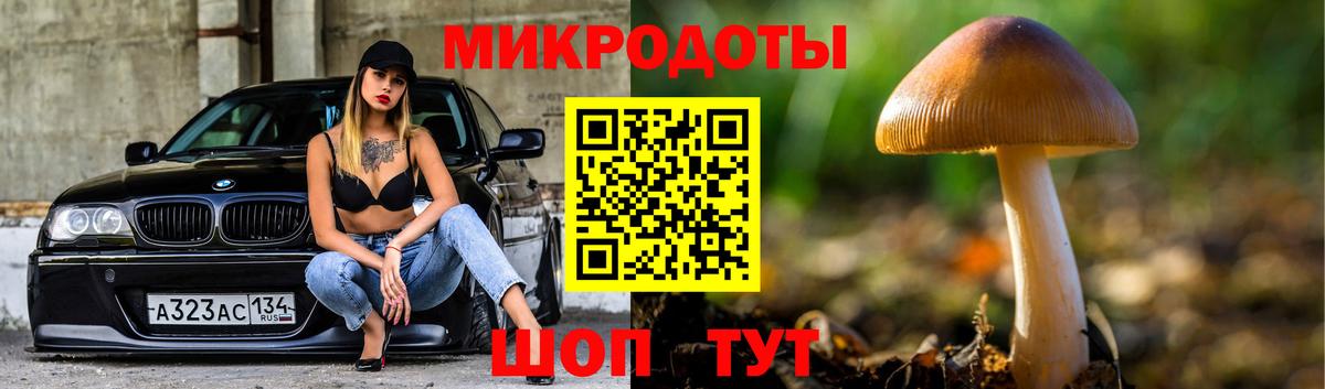 Псилоцибиновые грибы Psilocybe  Вход с VPN  Орёл 